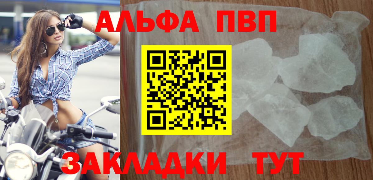 Альфа ПВП СК Санкт-Петербург