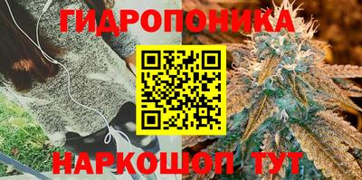 гашишное масло Нальчик