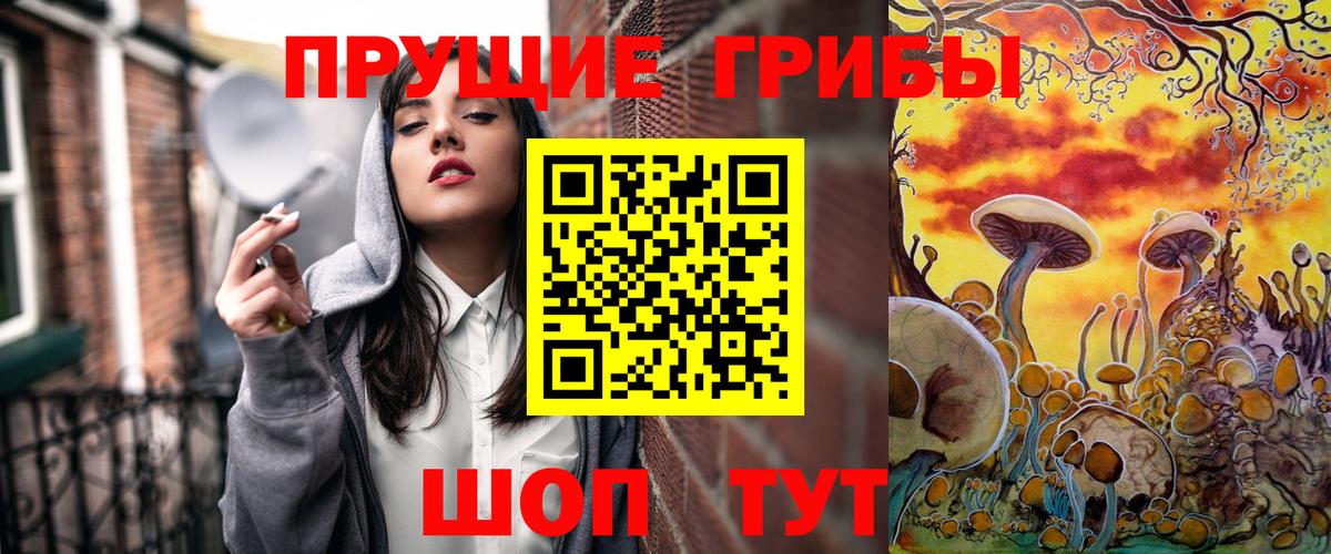 Галлюциногенные грибы Psilocybine cubensis  Вход с VPN  Санкт-Петербург 